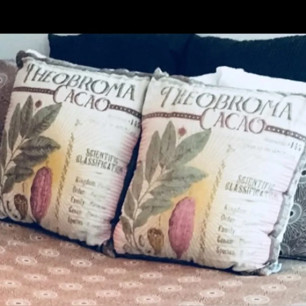 Set of 2 Koko Company Botanica 20” Pillow Covers Linen- Theobroma Cacao Print.